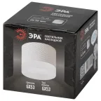 Светильник настенно-потолочный спот OL38 WH под GX53 IP20 белый