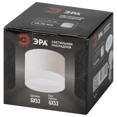 Светильник настенно-потолочный спот OL38 WH под GX53 IP20 белый