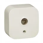 Quteo Радио розетка наружная бежевая