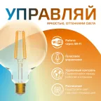 Лампа светодиодная филаментная Smart Home DIM+CCT E27 G95 Golden 6,5 Вт 2000-5500 К 1/40 | 1340112 | Gauss