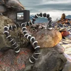 Гибкая тренога для установки кольцевого светильника 1/50 | RL101 | Gauss