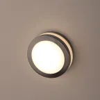 Декоративная подсветка светодиодная WL25