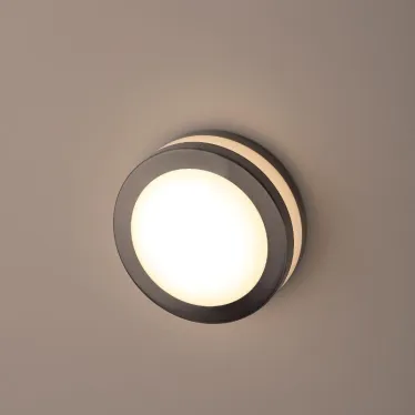 Декоративная подсветка светодиодная WL25