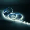 Лента светодиодная Basic LED 5050/60 12V 10W/m 700lm/m 4000K 10mm IP20 1m 1/100 | BT034 | Gauss