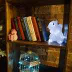 Акриловая светодиодная фигура "Белка" 17,5х12х18 см, 4,5 В, 3 батарейки AAA (не входят в комплект), 12 светодиодов, | 513-341 | NEON-NIGHT