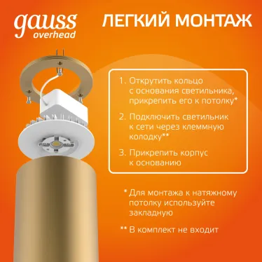 Светильник светодиодный декоративный бытовой HD002 12W (кофе золото) 3000K 79x200мм | HD002 | Gauss