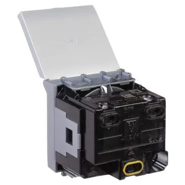 Avanti Розетка с крышкой модульная 2P+E с з/ш Закаленная сталь2 модуля