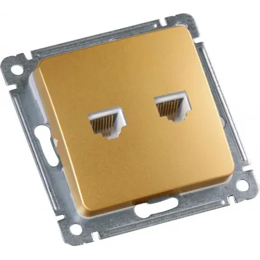 MASTER Розетка компьютеная и телефонная скрытой установки, в рамку, золото
