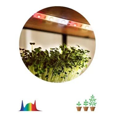 Лента светодиодная для растений полного спектра 3м IP65, с адаптером 12V в комплекте FITO-Strip Light-Rа90-3m ЭРА