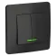 BLANCA скрытой установки двухклавишный выключатель (cх.5) с подсв., 10A, 250B, антрацит