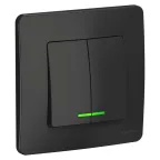 BLANCA скрытой установки двухклавишный выключатель (cх.5) с подсв., 10A, 250B, антрацит