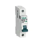 Выключатель автоматический 1P кривая D 25A 10кА ВА-105