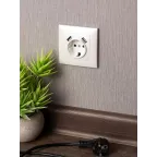 Валенсия лицевая панель розетки 1-местной с/з 16А жемчуг с защ. штор. с 2 USB 2,1А