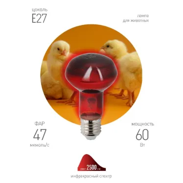 Инфракрасная лампа ИКЗК 230-60 R63 Е27 для обогрева животных 60 Вт Е27