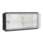 Светильник аварийный BS-UNIVERSAL-51-L1-INEXI2 5000K Black