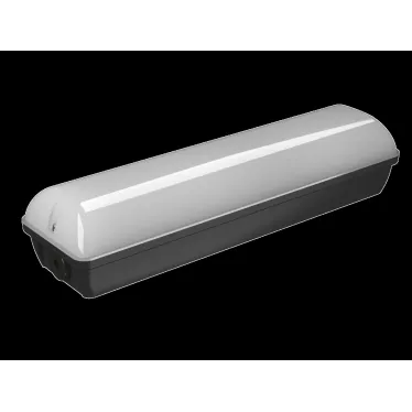 Светильник аварийный BS-METEOR-71-L2-INEXI3-MSS3 5000K Black