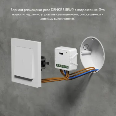 Реле-выключатель одноканальное Wi-Fi 1х2300 Вт/250 Вт для LED DENKIRS RL1001-SM