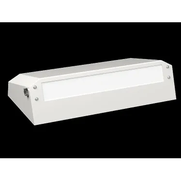 Светильник аварийный BS-CUSTOS-53-L1-INEXI2 4000K White