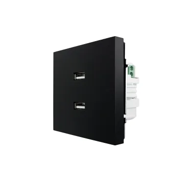 ZIMA Розетка с 2-ая USB разъем черный бархат LEZARD