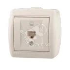                  Ната Розетка компьютерная белый
               