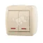 HATA Выключатель двухклавишный с подсветкой бежевый
