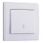Выключатель RAIN проходной белый