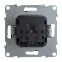 SUNO Силовая розетка 2К 16А 250В. Винтовые зажимы. Цвет "Антрацит" | 721433 | Legrand