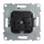 SUNO Силовая розетка 2К+З 16А 250В с защитными шторками. Винтовые зажимы. Цвет "Антрацит" | 721424 | Legrand