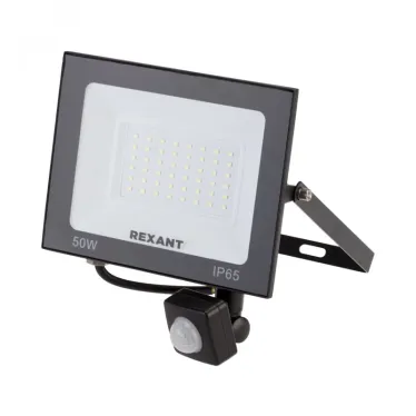 Прожектор светодиодный СДО 50 Вт 4000 Лм 6500К с датчиком движения