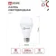 Лампа светодиодная LED-A65-VC 25Вт 230В Е27 6500К 2380Лм (4шт./упак) IN HOME