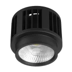 Модуль с драйвером DENKIRS DK3060-BK