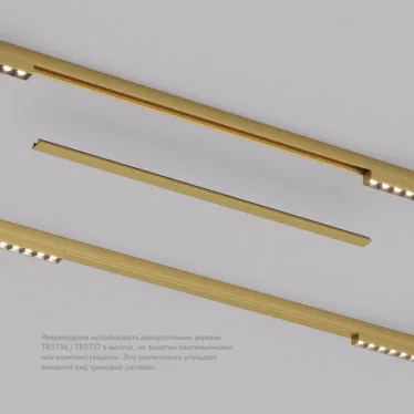 Заглушка декоративная желоба трека SHINE BASE 50 см сатинированная латунь алюм. DENKIRS TR5737-SB