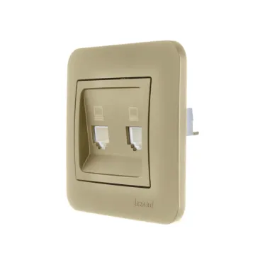 ASTI Розетка 2-ая компьютерная, золото Lezard 7081-3636-141