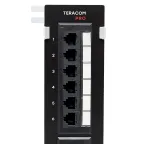 Патч-панель настенная TERACOM PRO Cat.5E неэкранированная UTP 12 портов RJ-45 Dual IDC