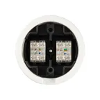 Розетка двойная компьютерная RJ45 белая «Болонь» TDM