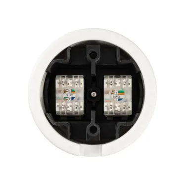 Розетка двойная компьютерная RJ45 белая «Болонь» TDM