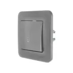 ASTI Кнопка звонка, 10 А, платина Lezard 7081-3535-103