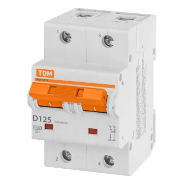 Выключатель автоматический ВА47-125 двухполюсной 125А 15кА характеристика D