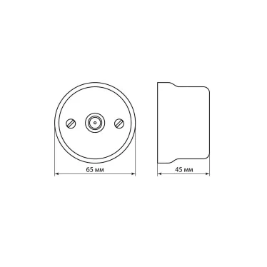 Розетка TV оконечная белая «Болонь» TDM