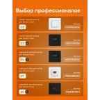 Терморегулятор для систем снеготаяния и антиоблединения на din-рейку, 2 модуля