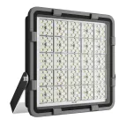 Светильник FFE-101-100-740-С120