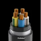 Кабель силовой ВБШвнг(А)-LS-ХЛ 5х50 мк(N,PE)-1