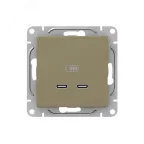                  Механизм розетки USB-C - 2шт шампань Эпика EKF
               