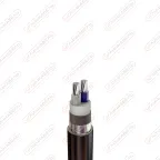                  Кабель силовой АПвБШвнг(B) 2х50 мк(N)-1
               