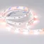 Лента светодиодная 14,4Вт/м 24В RGBW-Day IP20 60LED/м RT-B60-10mm SMD 5060 5м, открытый