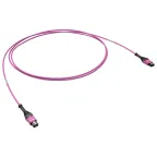                  Сборка оптическая соединительная 12ОВ 50/125 OM4. 1хMTP PRO(12)/1хMTP PRO(12). 10м
               