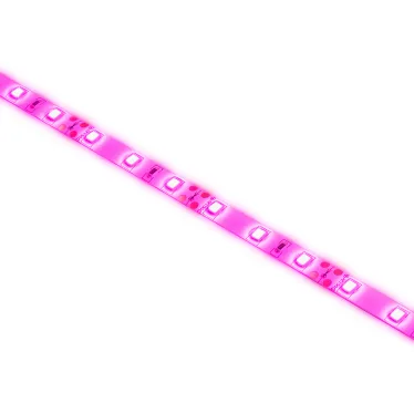 Светодиодная лента для растений FITO-Strip Light-RB-2m красно-синего спектра, 2 м, IP65