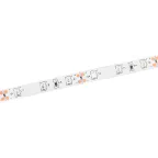 Лента светодиодная 5м LSR-2835B60-4,8-IP20-12В IEK