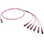                  Сборка оптическая разветвительная 12ОВ 50/125 OM4. 1хMTP PRO(12)/6хLC Dupleх Uniboot. 2м (предустановленная конфигурация: MTP Male . тип полярности - прямая (Tх-Rх)
               