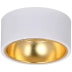                  LIGHTING Светильник 4017 накладной потолочный под лампу GX53 белый/золото IEK
               